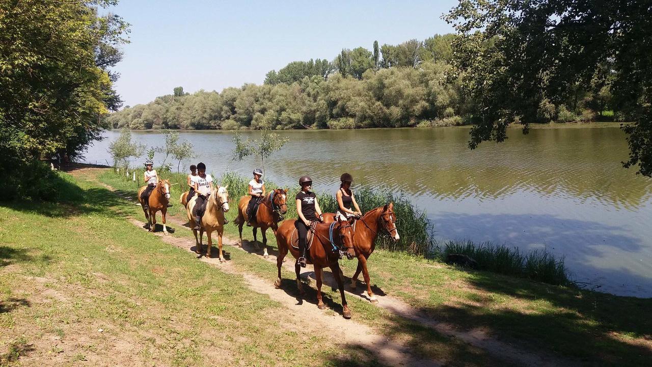 Napsugár Nyaraló Villa Tiszaalpar Kültér fotó